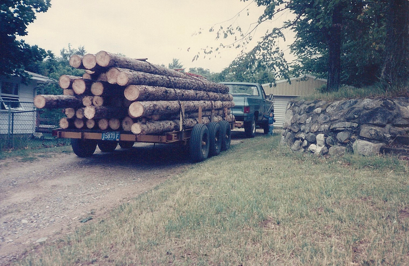 Illustration for article titled My Dad is Paul Bunyan (up again in honor of Father's Day)